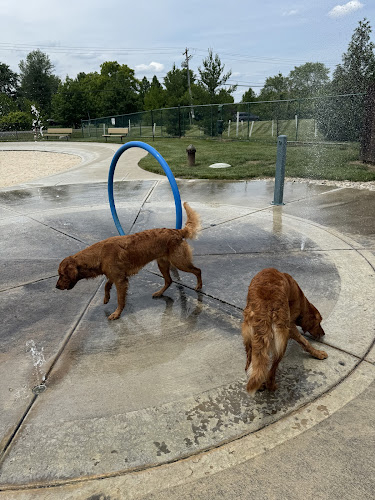 RJ Wags Park