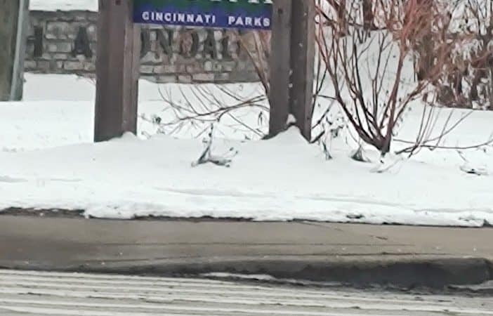 Seasongood Square - Cincinnati, OH