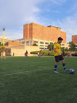 Sheakley Lawn