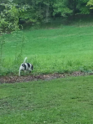 Stanbery Park