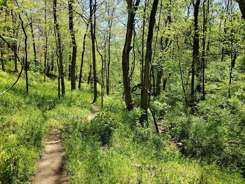 Story Woods Park - Cincinnati, OH