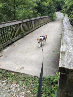 Story Woods Park