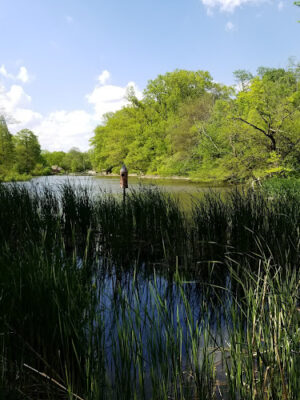 Trailside Nature Center