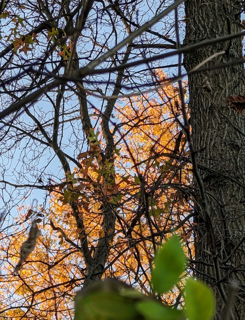 Veterans Park - Cincinnati, OH