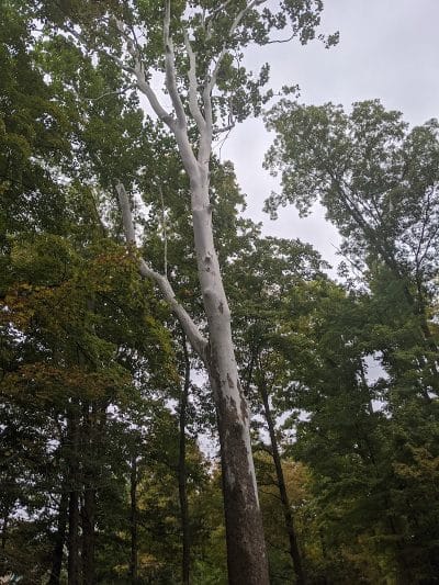 Veterans Park - Cincinnati, OH