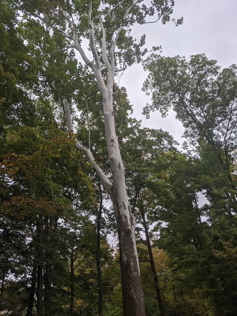 Veterans Park - Cincinnati, OH