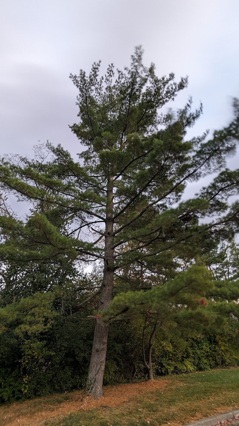 Veterans Park - Cincinnati, OH