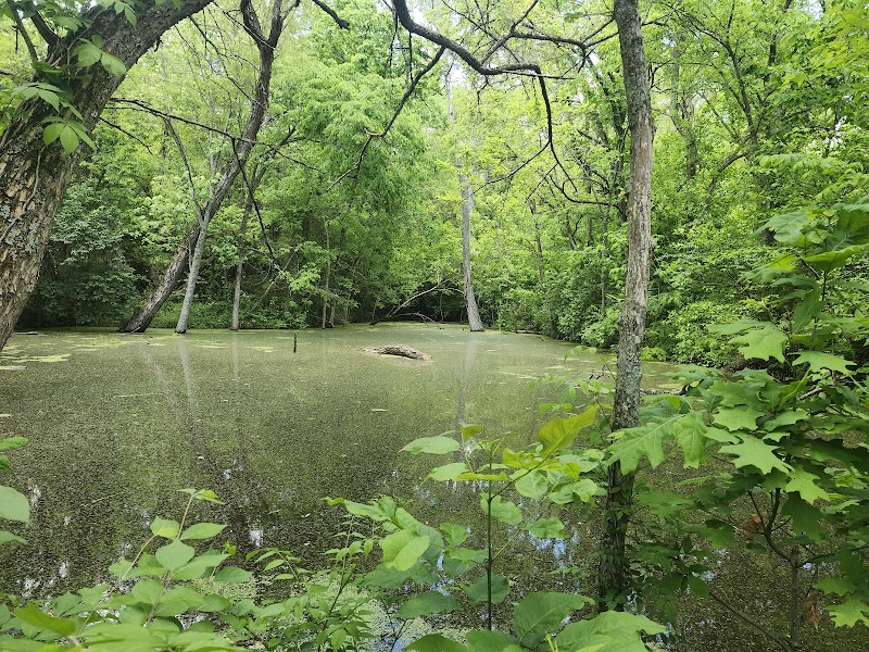 Woodland Mound - Cincinnati, OH