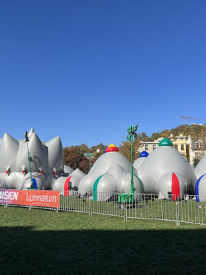 Ziegler Park Lawn