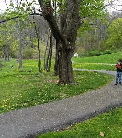 Abington Dog Park - Clarks Summit, PA