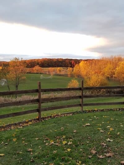 Abington Dog Park - Clarks Summit, PA