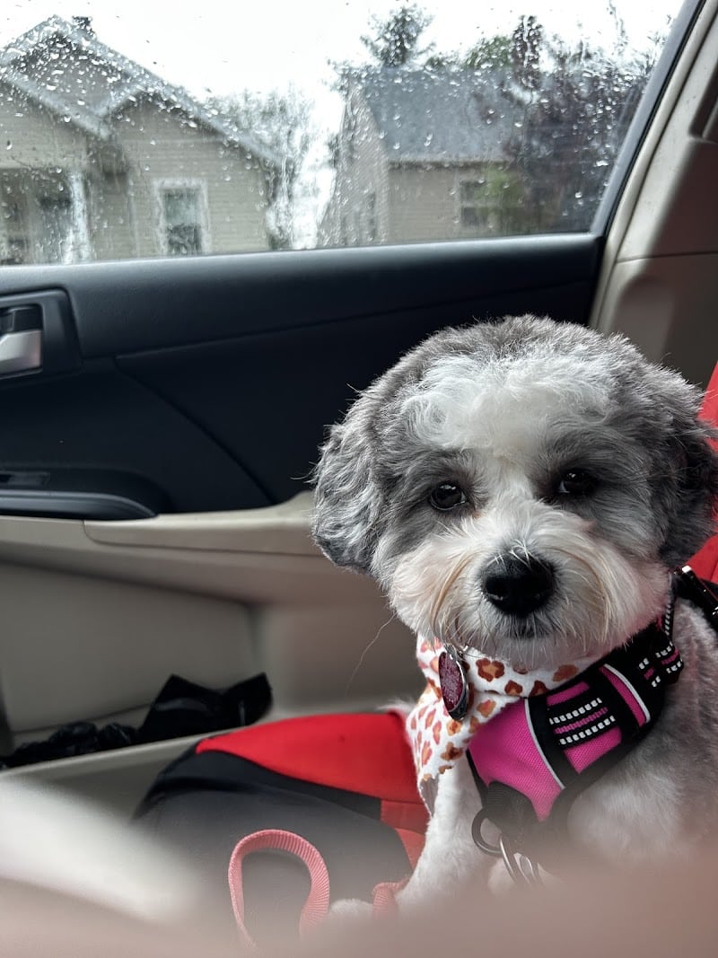 Clayton Pet Hotel & Spa - Clayton, OH