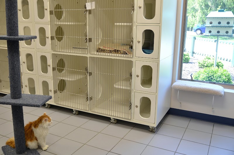 Clayton Pet Hotel & Spa - Clayton, OH