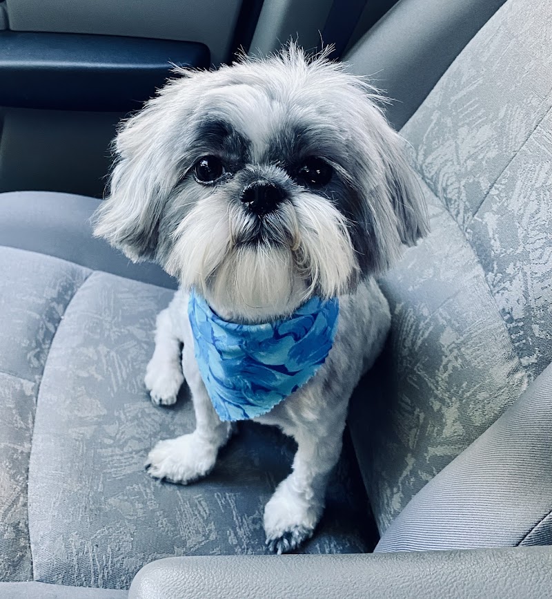 Clayton Pet Hotel & Spa - Clayton, OH