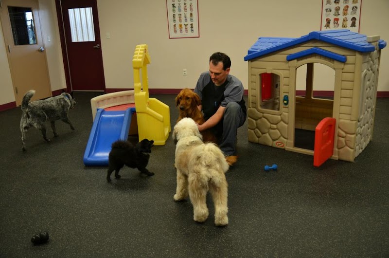 Clayton Pet Hotel & Spa - Clayton, OH