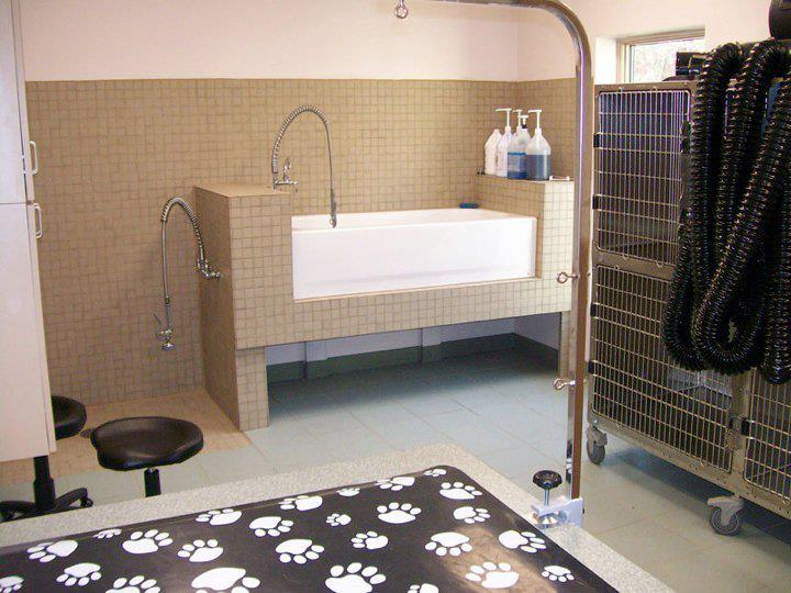 Clayton Pet Hotel & Spa - Clayton, OH