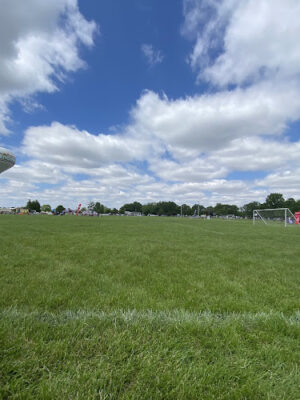 Ward Field