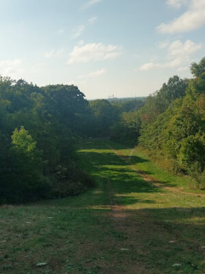 Forest Hill Park