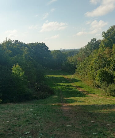 Forest Hill Park