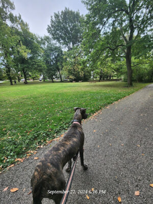 Cumberland Park