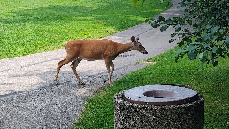 Cumberland Park - Cleveland Heights, OH