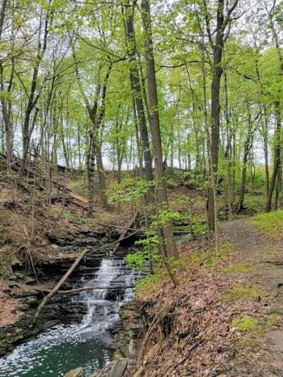 Forest Hill Park - Cleveland Heights, OH