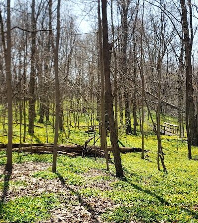 Forest Hill Park - Cleveland Heights, OH