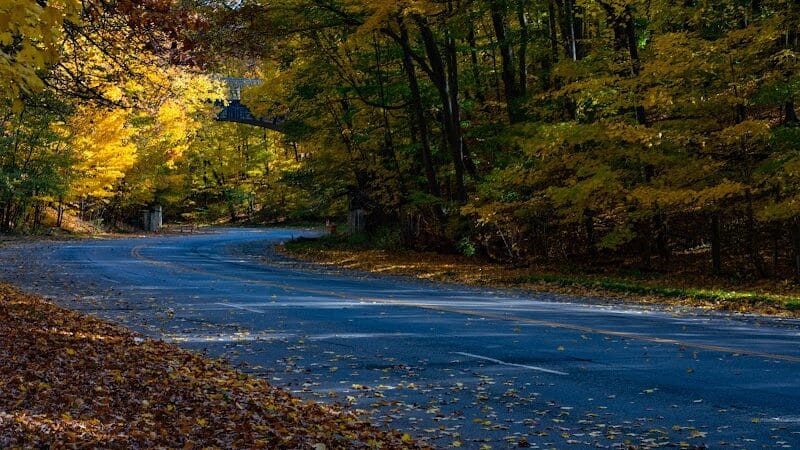 Forest Hill Park - Cleveland Heights, OH
