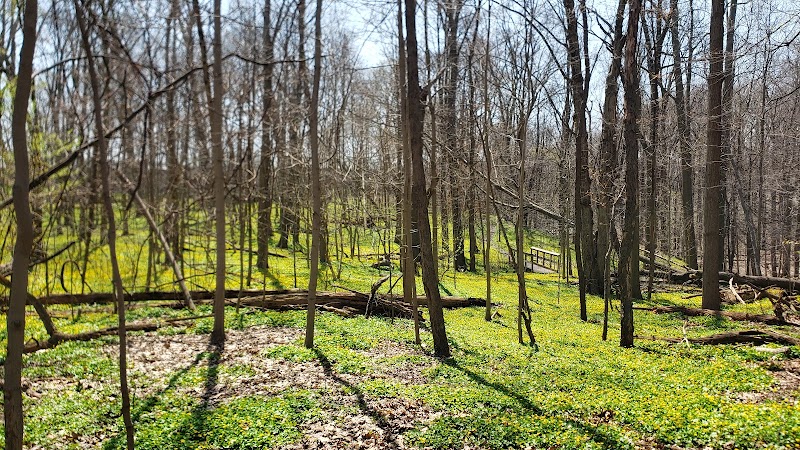 Forest Hill Park - Cleveland Heights, OH