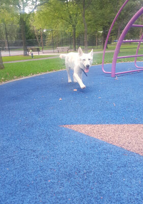 Archmere Park