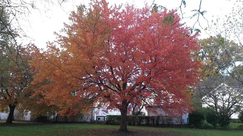 Archmere Park - Cleveland, OH