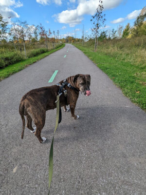 Brighton Park - Cleveland Metroparks Brookside Reservation