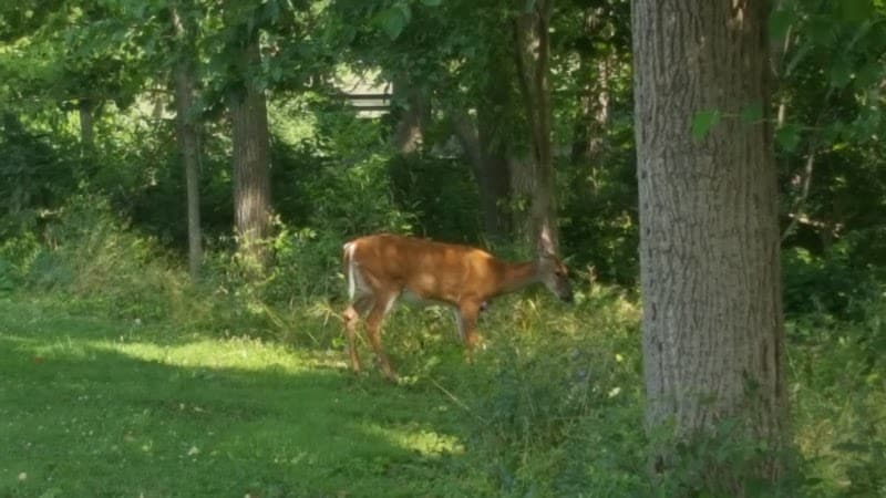 Cleveland Metropark Maintenance Center - Cleveland, OH