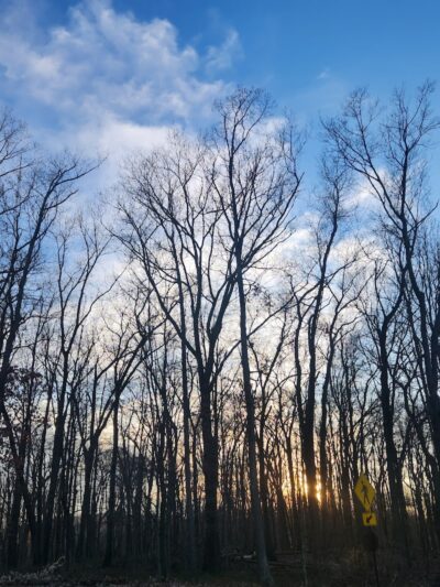 Cleveland Metroparks - Cleveland, OH