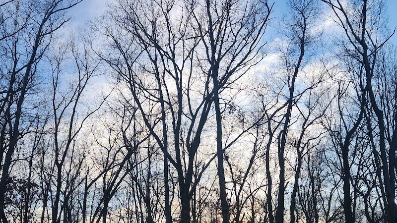 Cleveland Metroparks - Cleveland, OH