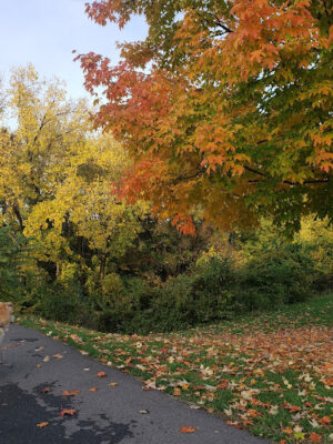 Cleveland Metroparks Brookside Reservation