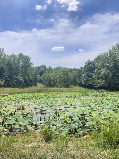 Cleveland Metroparks Brookside Reservation - Cleveland, OH