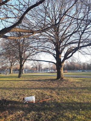 Cleveland Metroparks Lakefront