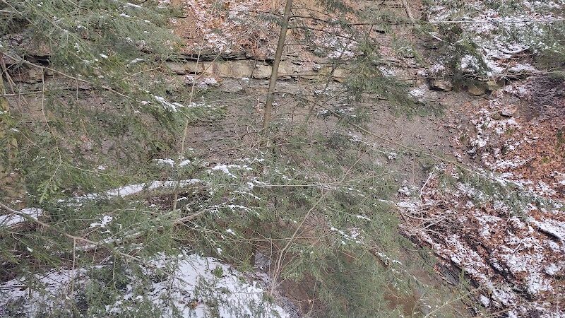 Cleveland Metroparks Meadow Ridge Picnic Area - Cleveland, OH