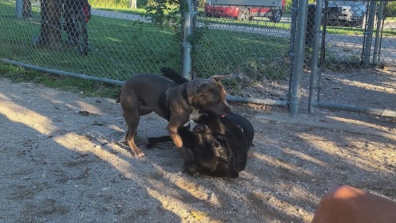 Dog Park - Cleveland, OH
