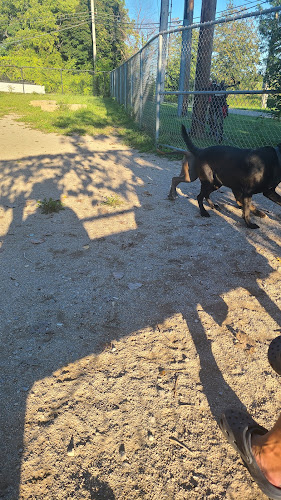 Dog Park