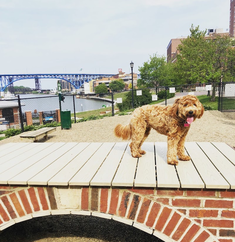 Downtown Cleveland Dog Park - Cleveland, OH