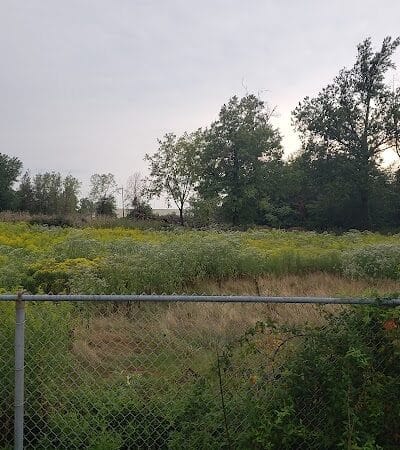 Euclid Dog Park - Cleveland, OH