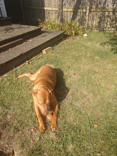Euclid Dog Park