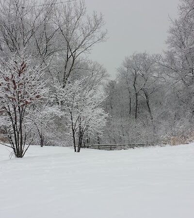 Harmody Park - Cleveland, OH