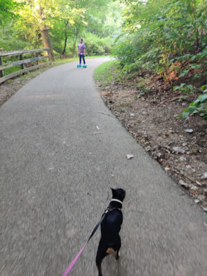 Harmody Park