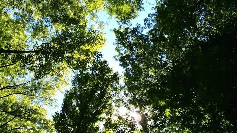 Harmody Park - Cleveland, OH