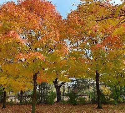 James M. Dunphy Park - Cleveland, OH