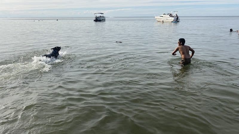 K-9 Coastline - Cleveland, OH