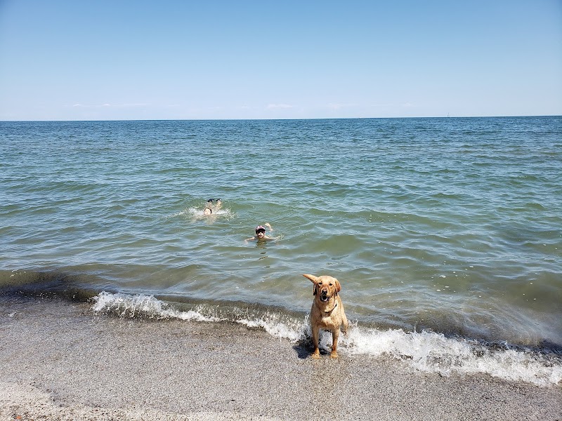 K-9 Coastline - Cleveland, OH